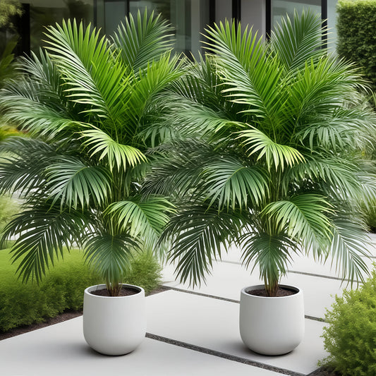 2pcs Large Outdoor Artificial Pineapple Palm Trees