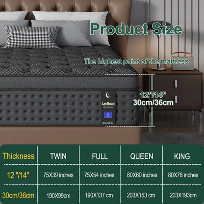 Memory Foam Spring Mattress Single/Double/Queen/King Sizes Boxed Mattress Medium Firmness Pressure Relief