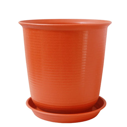 Eco-Friendly Style Flowerpots Large Size Succulent Plant Outdoor Courtyard