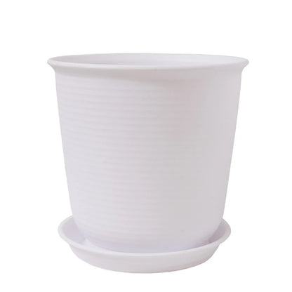 Eco-Friendly Style Flowerpots Large Size Succulent Plant Outdoor Courtyard
