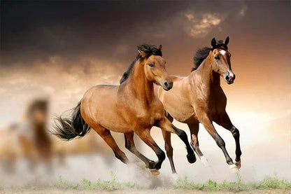 Black and White Horse Canvas Wall Art Two Horses Animal Farm Prints Posters