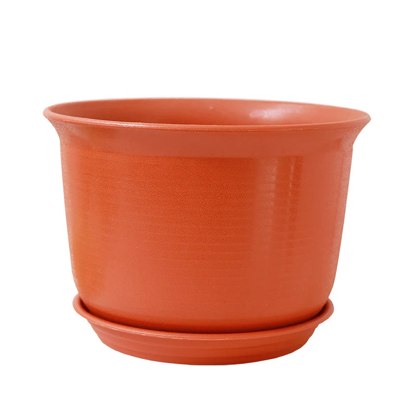 Eco-Friendly Style Flowerpots Large Size Succulent Plant Outdoor Courtyard