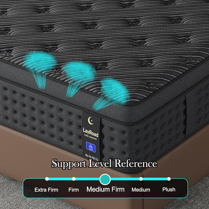 Memory Foam Spring Mattress Single/Double/Queen/King Sizes Boxed Mattress Medium Firmness Pressure Relief