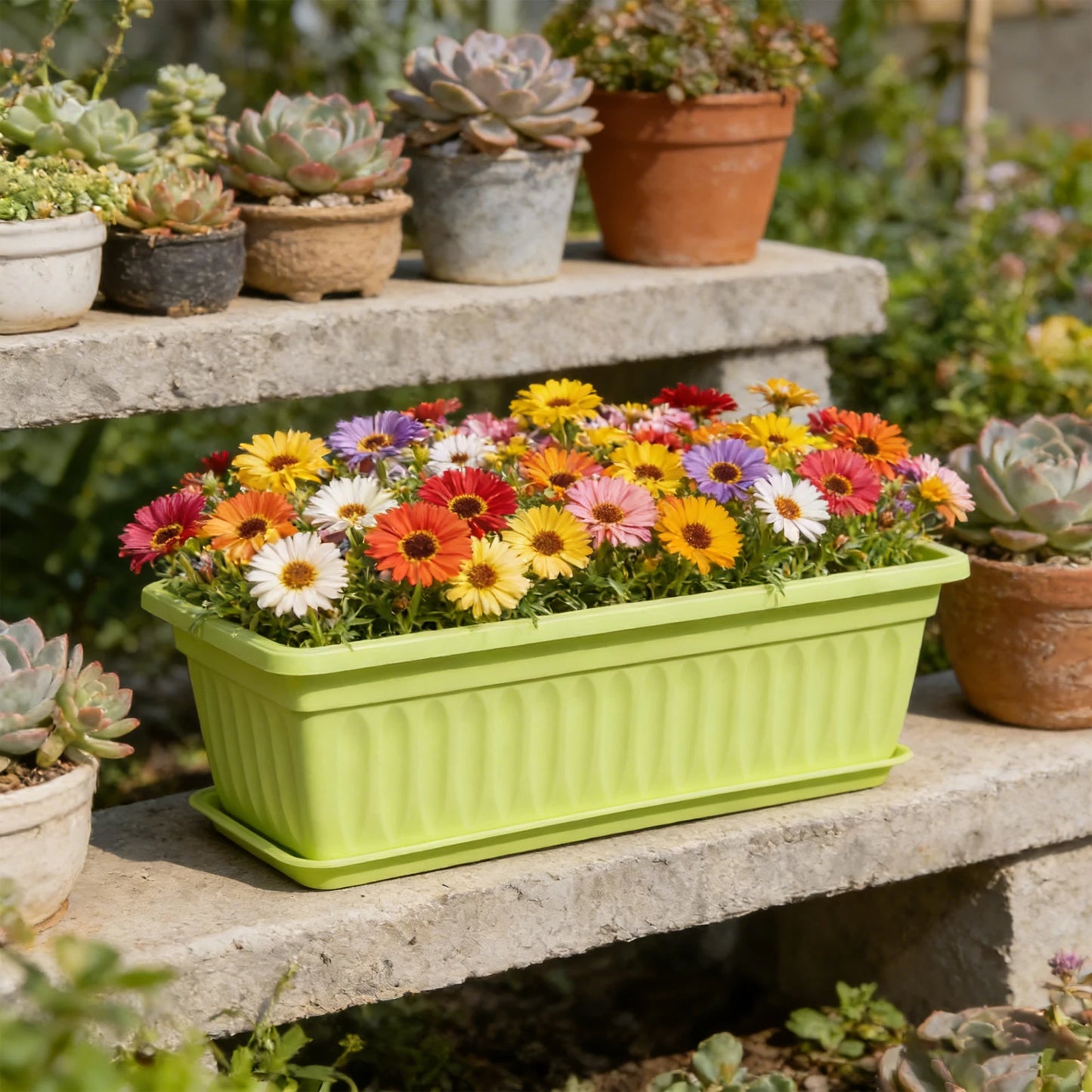 Rectangular Plastic Planter Multi-Color Gardening Container for Vegetables Herbs and Flowers