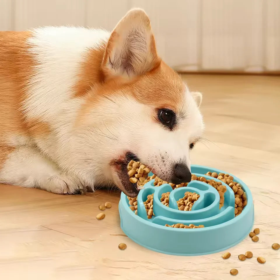 Pet Bowls Slow-Feeding Trays for Cats and Dogs to Prevent Choking Pet Supplies.