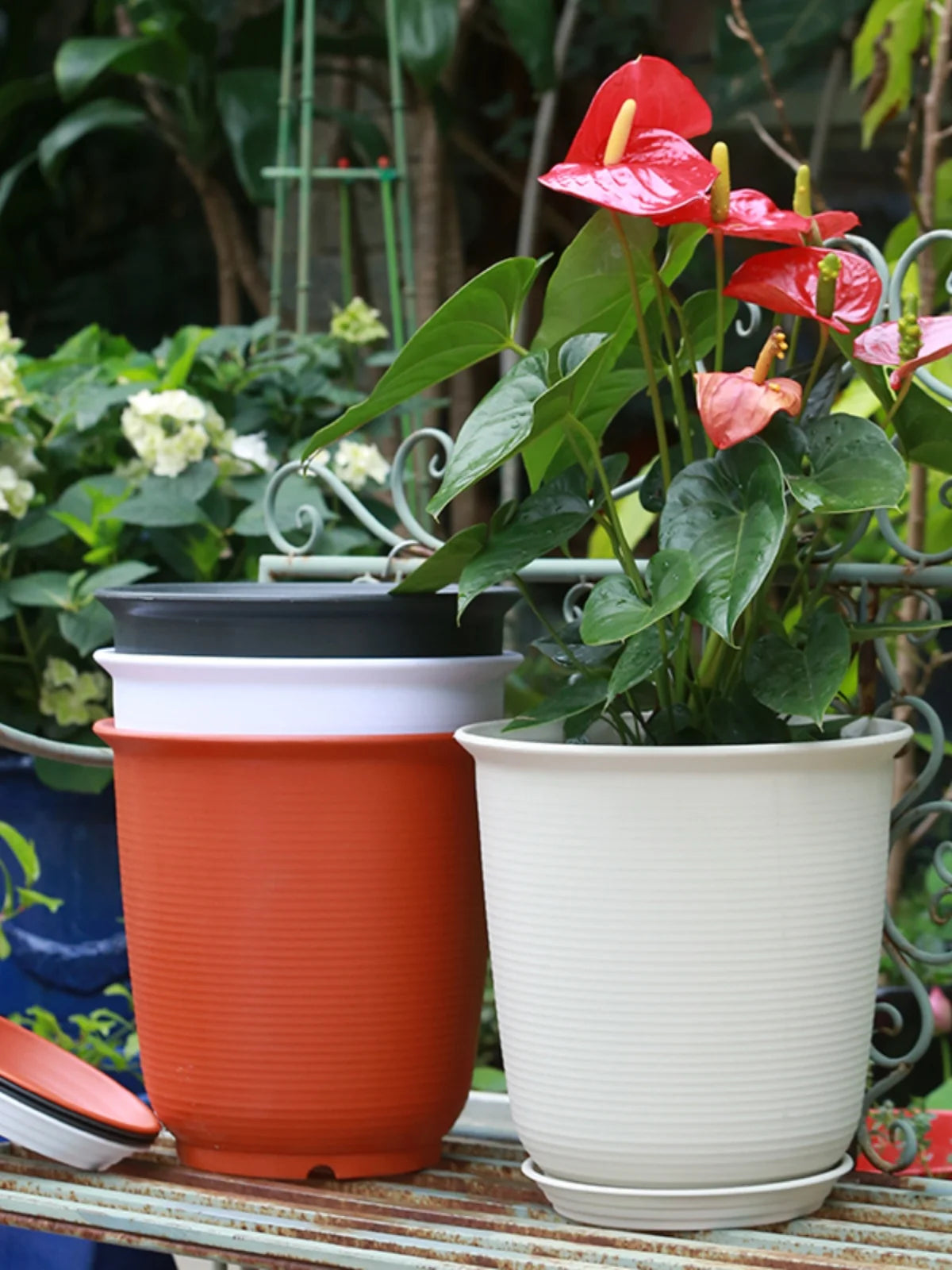 Eco-Friendly Style Flowerpots Large Size Succulent Plant Outdoor Courtyard