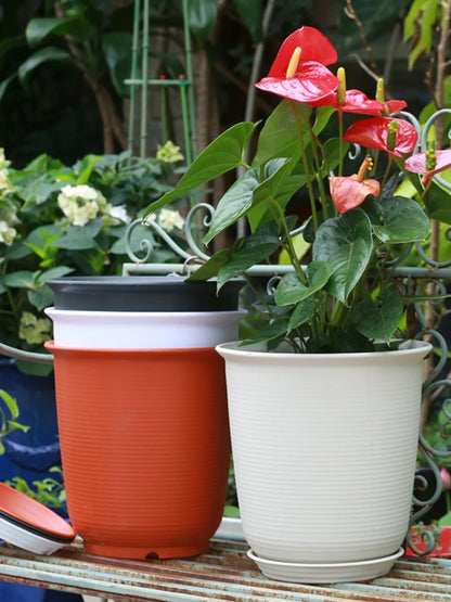Eco-Friendly Style Flowerpots Large Size Succulent Plant Outdoor Courtyard