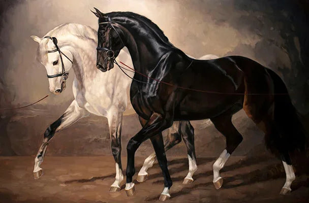 Black and White Horse Canvas Wall Art Two Horses Animal Farm Prints Posters
