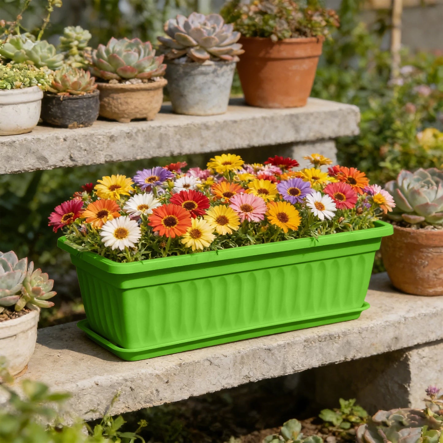 Rectangular Plastic Planter Multi-Color Gardening Container for Vegetables Herbs and Flowers