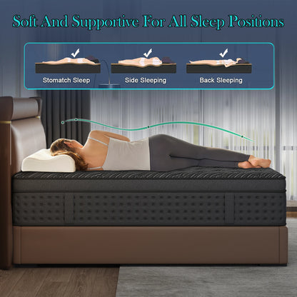 Memory Foam Spring Mattress Single/Double/Queen/King Sizes Boxed Mattress Medium Firmness Pressure Relief